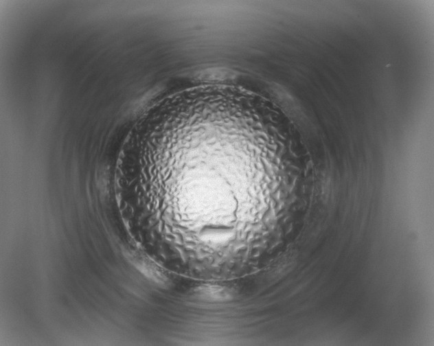 X0000081600326200701151346