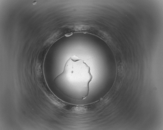 X0000081600327200701151346