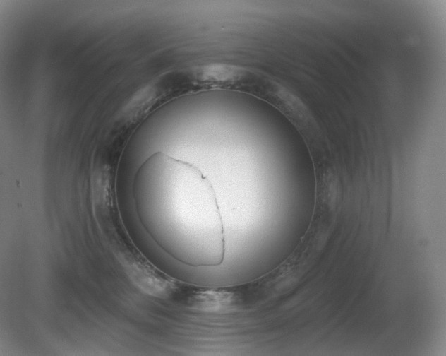 X0000081600328200701151346