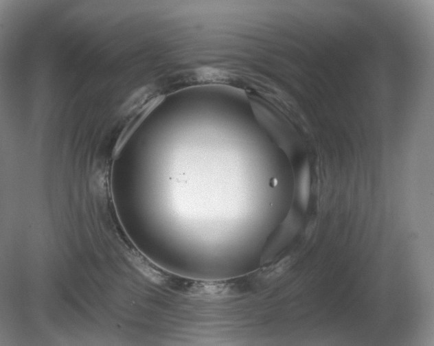 X0000081600329200701151346