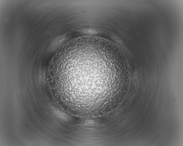 X0000081600330200701151346