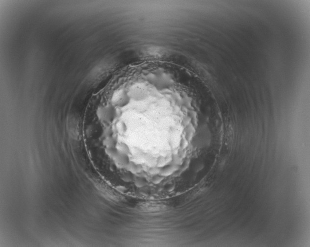 X0000081600331200701151346