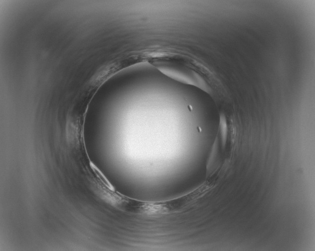 X0000081600333200701151345