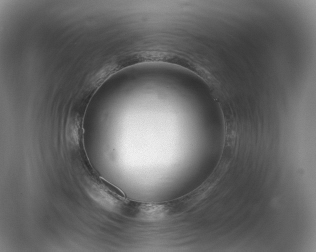 X0000081600334200701151345