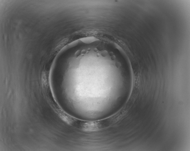 X0000081600335200701151345