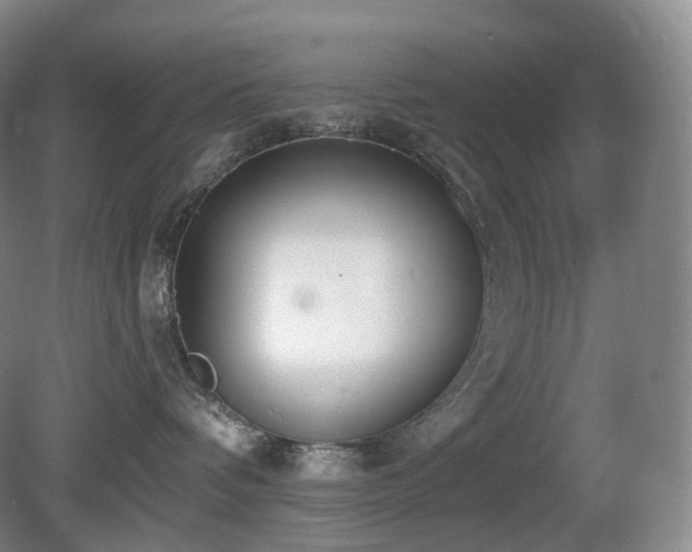 X0000081600336200701151345