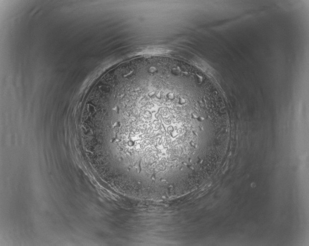 X0000081600337200701151345