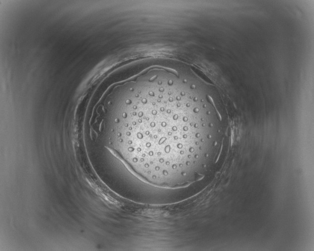 X0000081600339200701151345