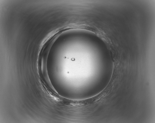 X0000081600340200701151345