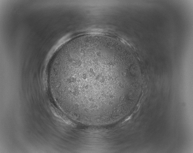 X0000081600343200701151345