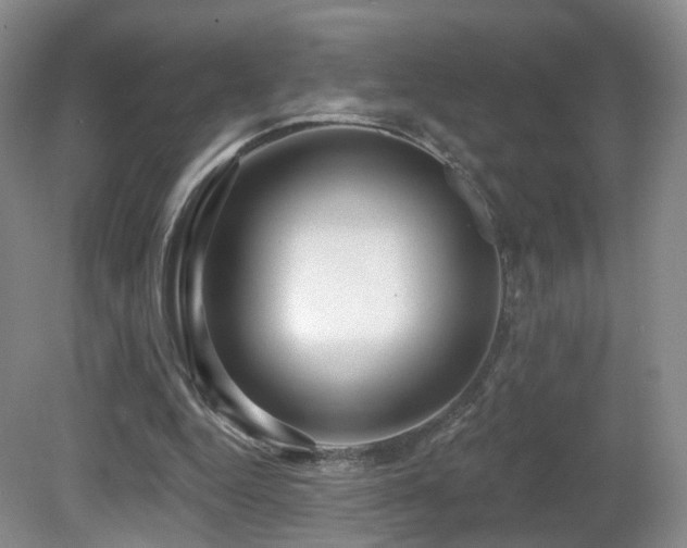 X0000081600344200701151345