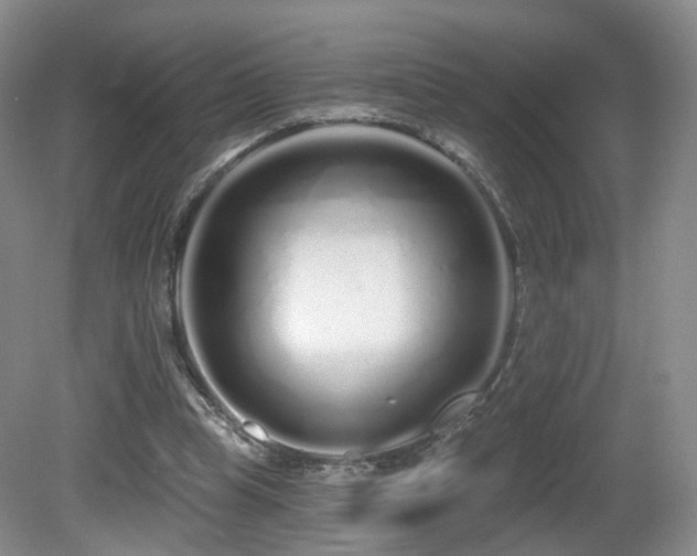 X0000081600345200701151345