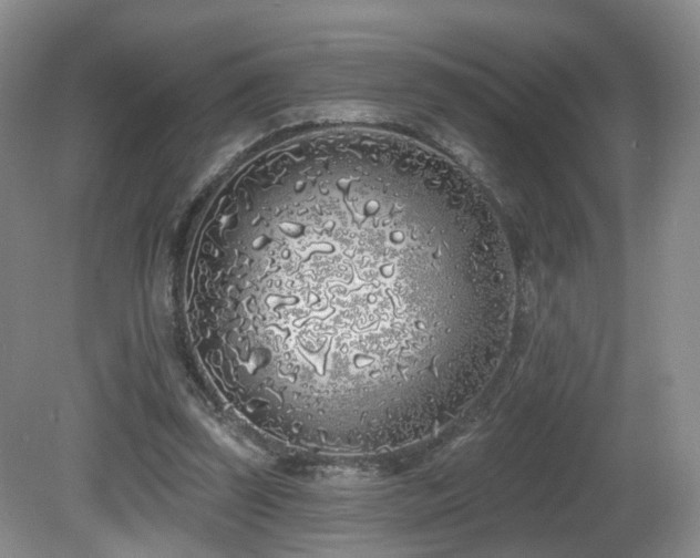 X0000081600347200701151345