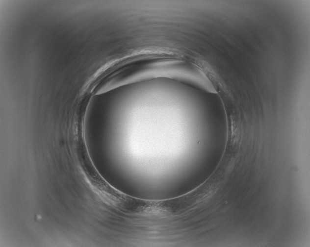 X0000081600348200701151345