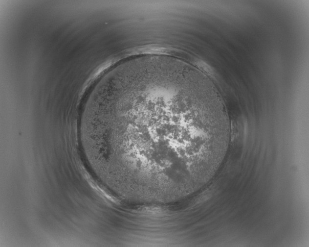 X0000081600349200701151345