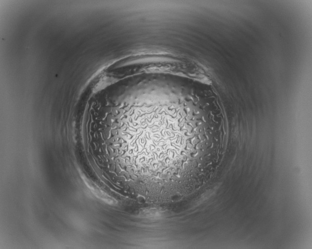 X0000081600351200701151345