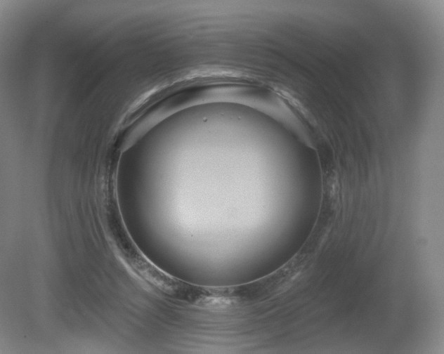 X0000081600352200701151345