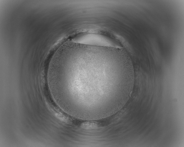 X0000081600354200701151345