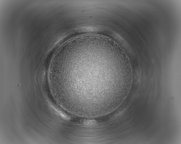 X0000081600355200701151345