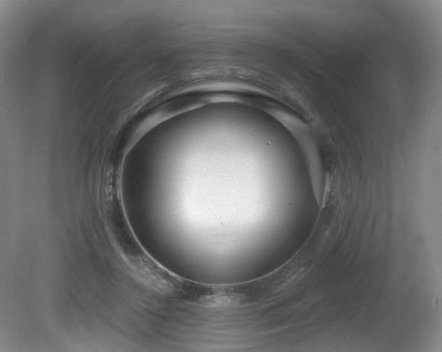 X0000081600356200701151345