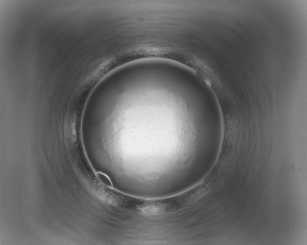 X0000081600358200701151345