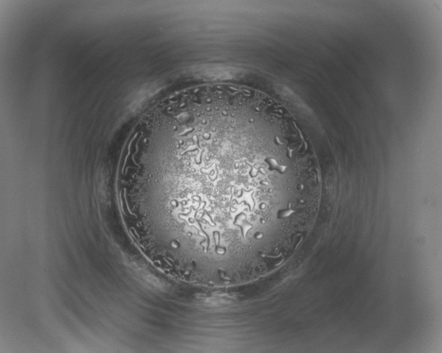 X0000081600359200701151345