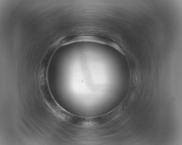 X0000081600360200701151345