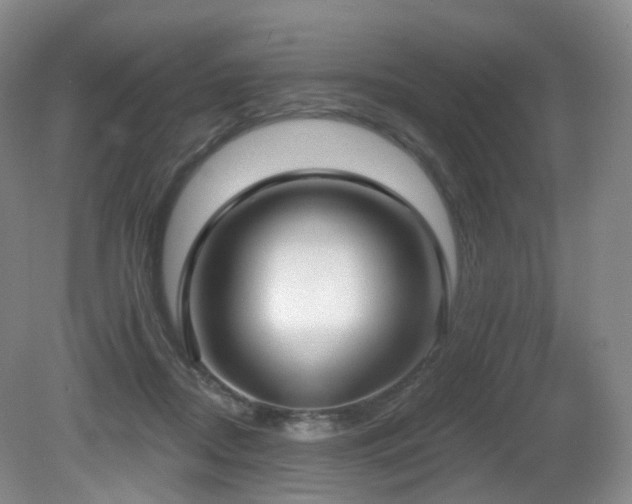 X0000081600362200701151345