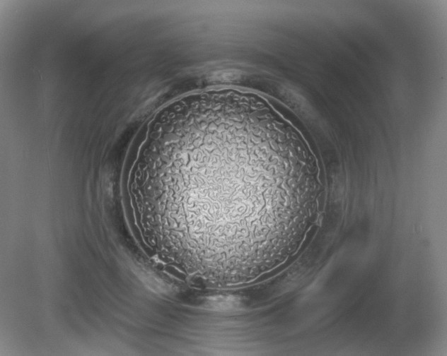 X0000081600363200701151345