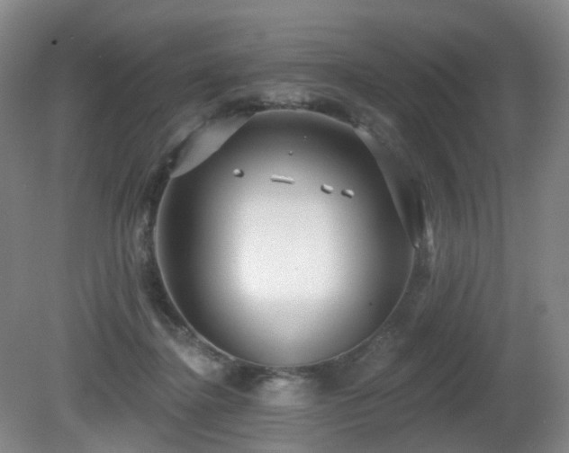 X0000081600364200701151345