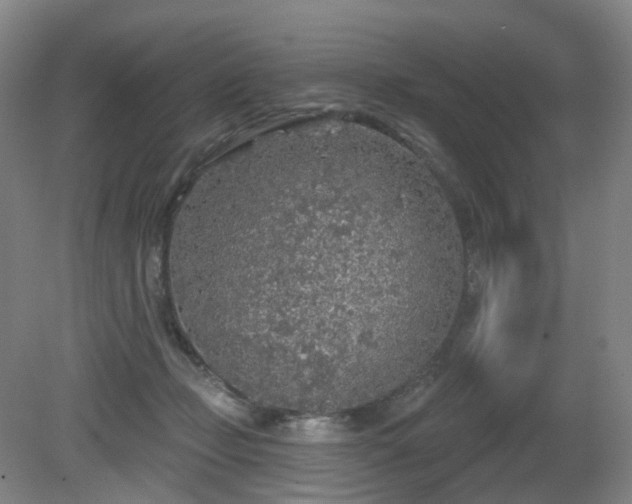 X0000081600365200701151345