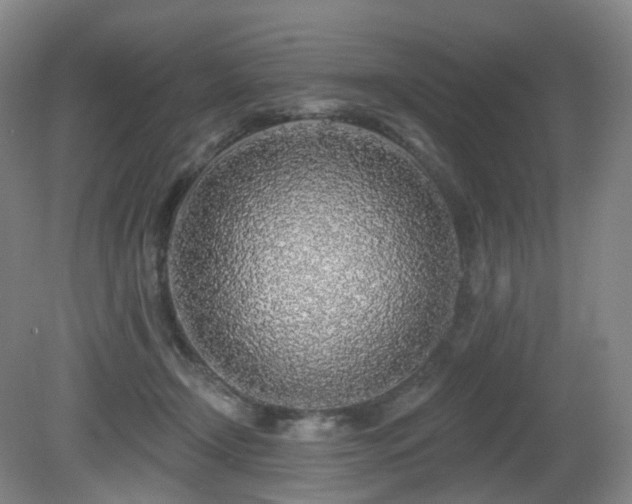 X0000081600366200701151345