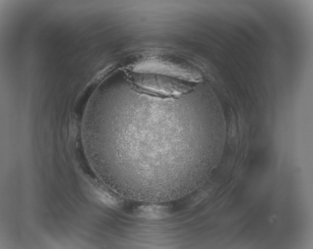 X0000081600367200701151345