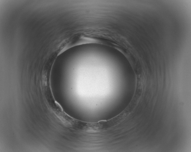 X0000081600368200701151345