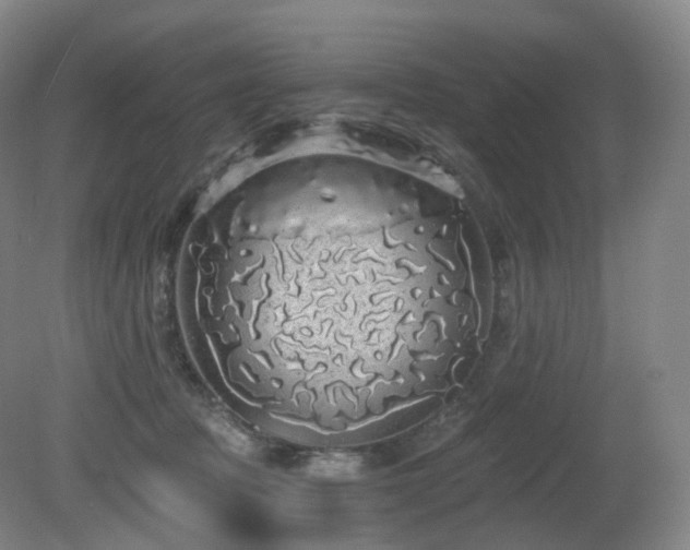 X0000081600369200701151345