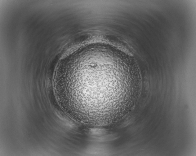 X0000081600371200701151345