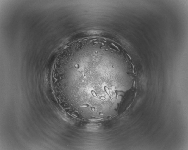 X0000081600373200701151345