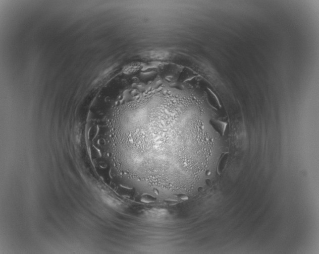 X0000081600374200701151345