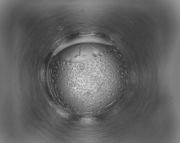 X0000081600375200701151345