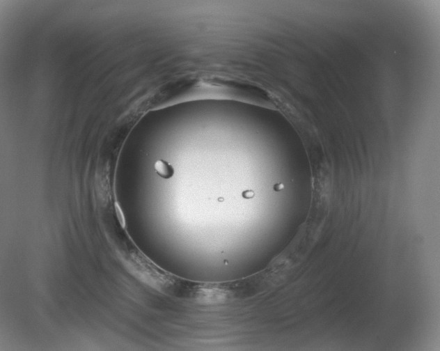 X0000081600376200701151345