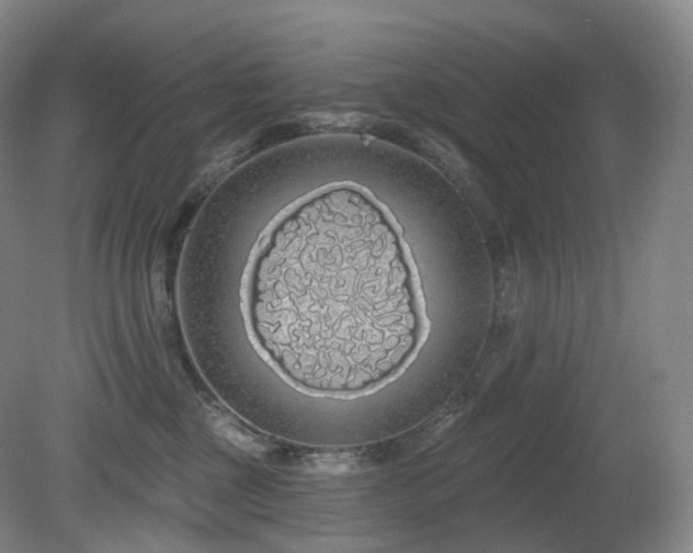 X0000081600377200701151345