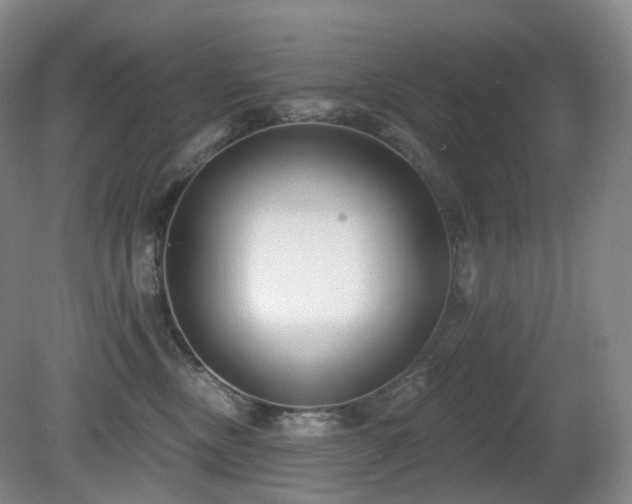 X0000081600378200701151345