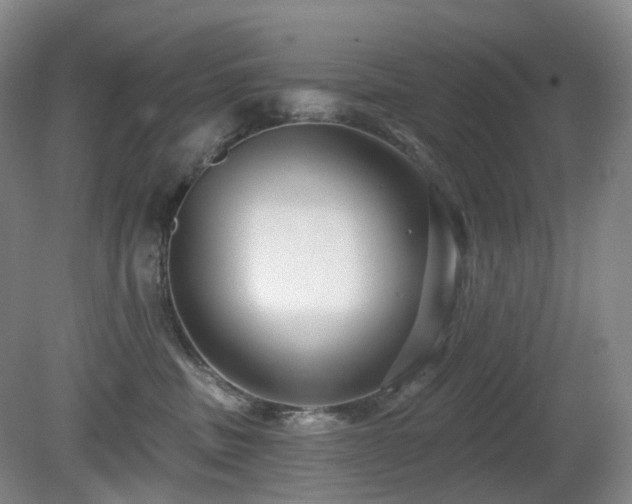 X0000081600379200701151345