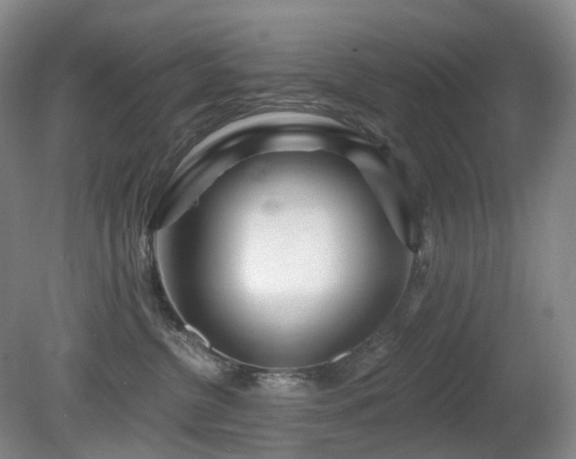 X0000081600380200701151345