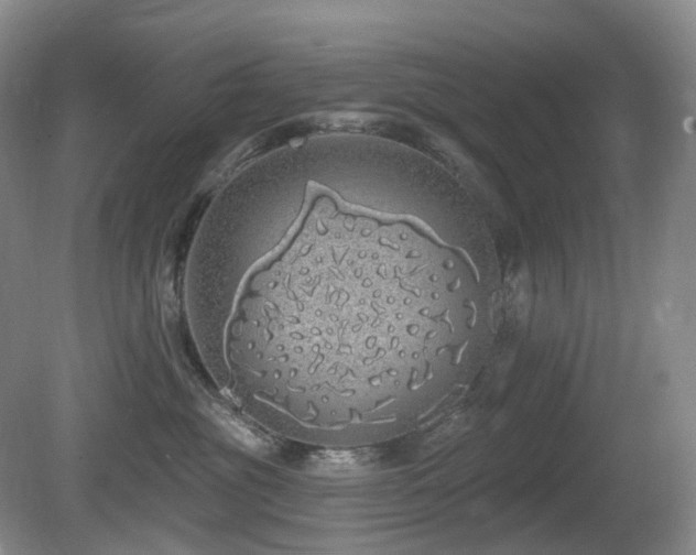 X0000081600381200701151345