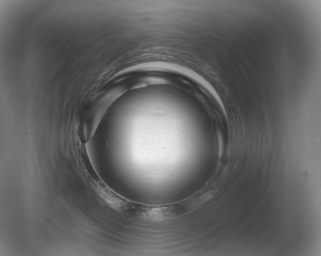 X0000081600382200701151345