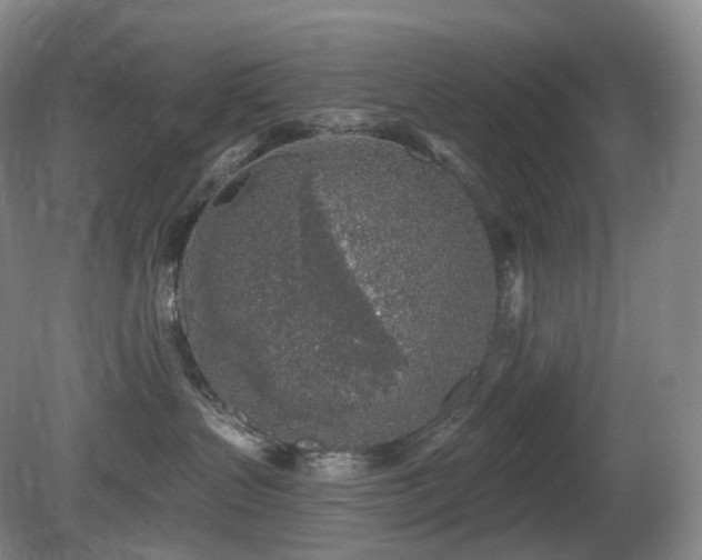 X0000081600383200701151345