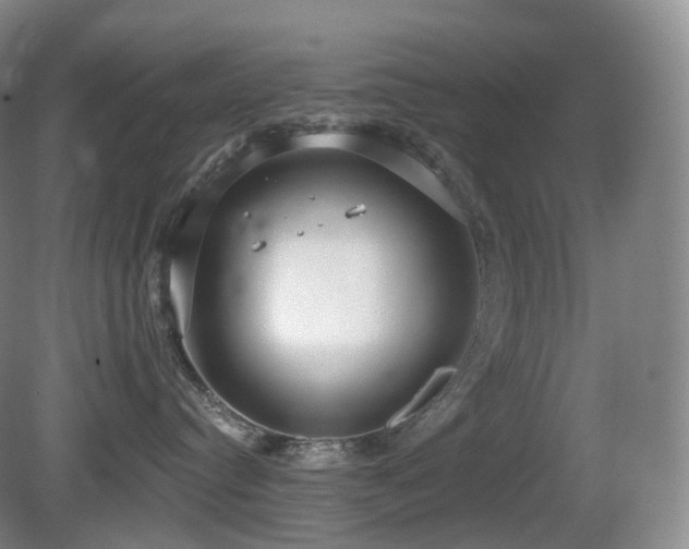 X0000081600384200701151345