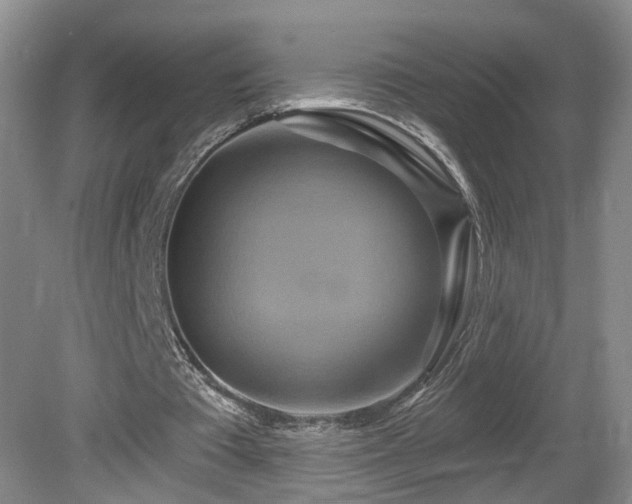 X0000081600385200701151345