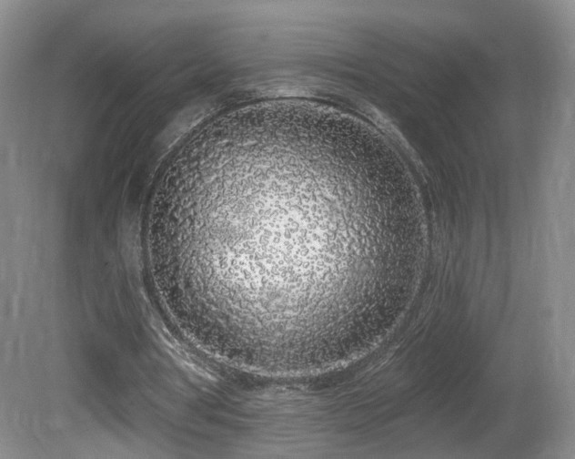 X0000081600386200701151345